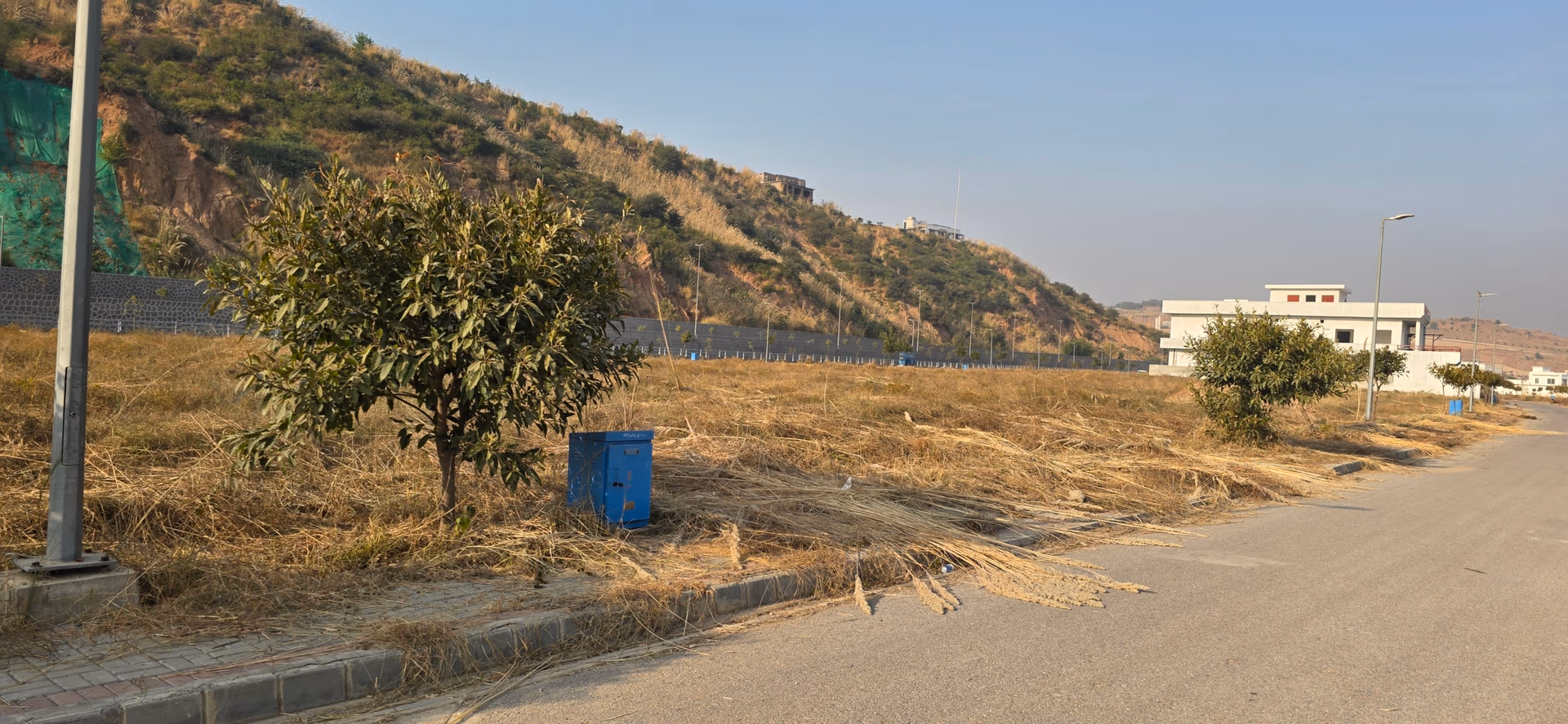 Alt Text: Peaceful residential neighbourhood in DHA Phase 4